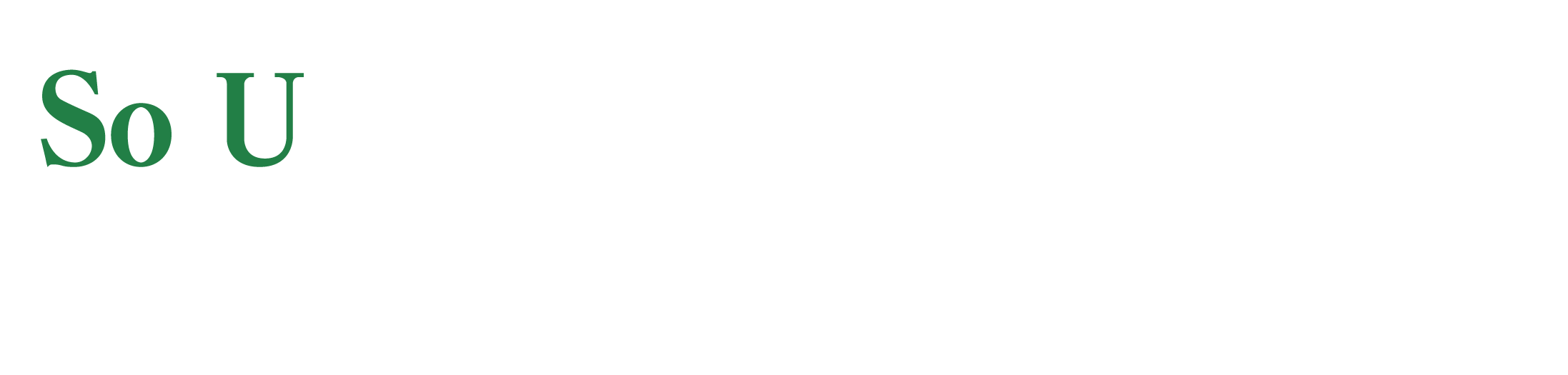 株式会社ソル SoLU